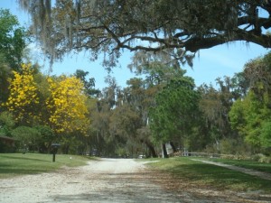 5K Race Route Through Windermere, FL