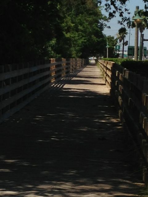 Walking bridge near Celebration, Florida