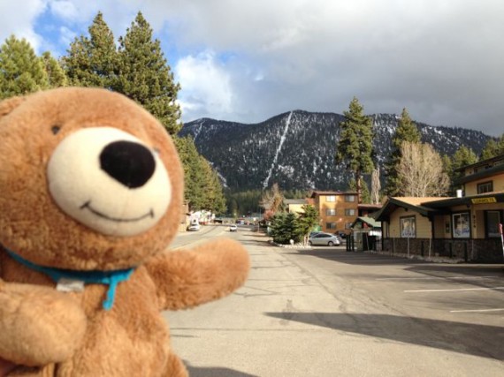 Teddy Bear near Heavenly Ski Resort Lake Tahoe