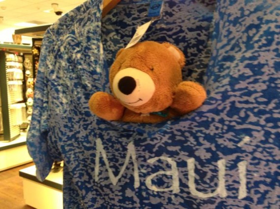 Teddy Beat in Maui tee shirt at airport gift shop