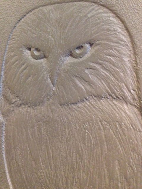 Owl sketched in metal