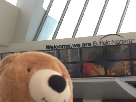 Teddy Bear at Buffalo - Niagara airport