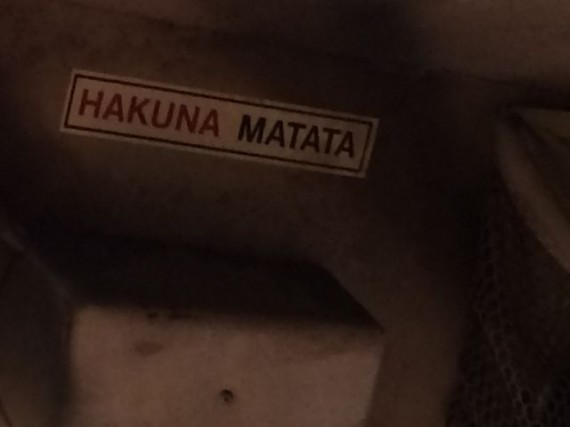 Hakuna Matata slogan in Kilimanjaro Safari vehicle 