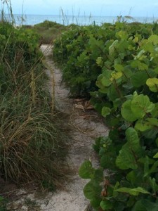 Path to Sanibel Island beachfront