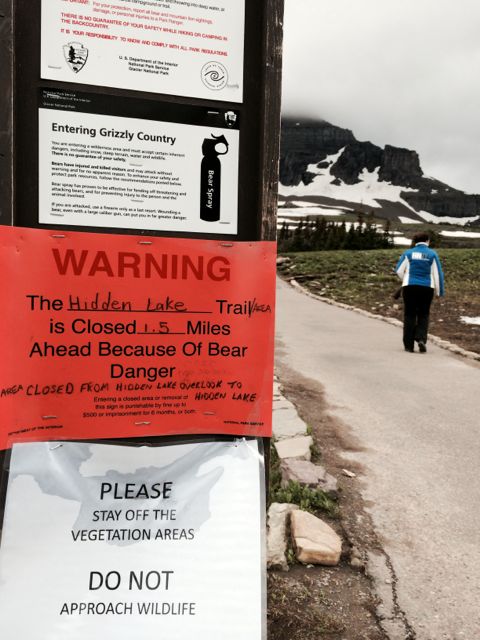 Hidden Lake Trail Grizzly Bear warning sign posted