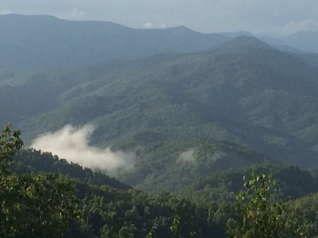 View looking north from atop Shumont Mountain, near Asheville, NC