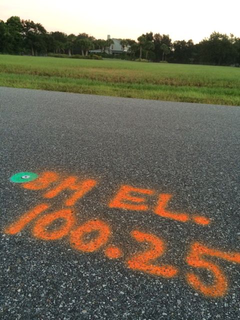 Survey marker notes spray painted on road