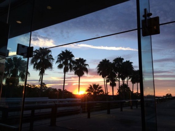 Palm Tree Sunrise at Orlando airport