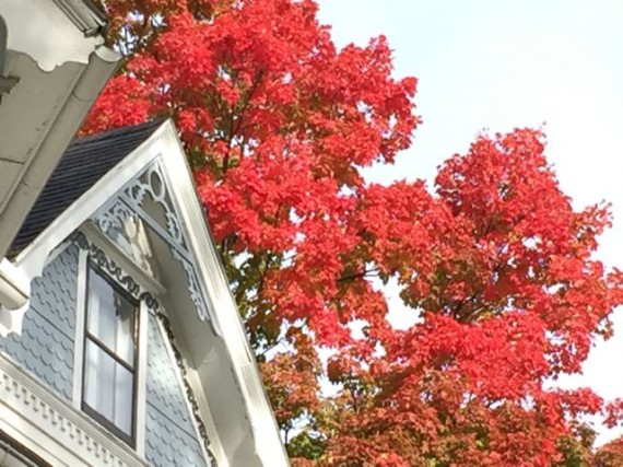 bright red fall colors on campus