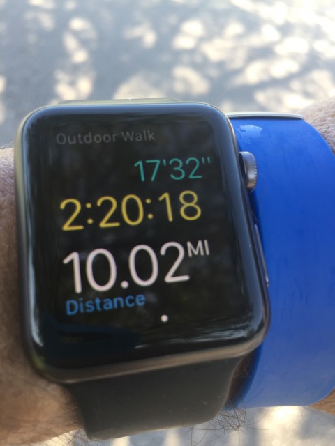 Apple Watch running app