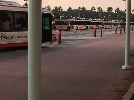 Disney's Bus Transportation at dawn.