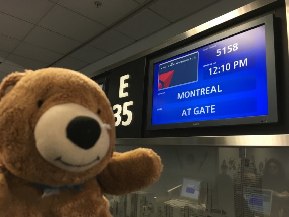 Teddy Bear at Orlando airport