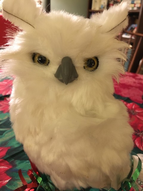 Toy owl