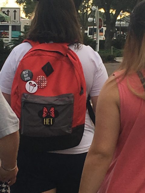 Disney Fanatic backpack