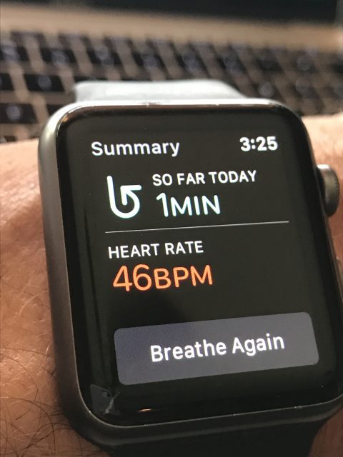resting heart rate