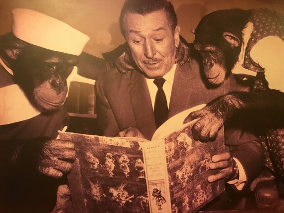 Walt Disney and two Chimps
