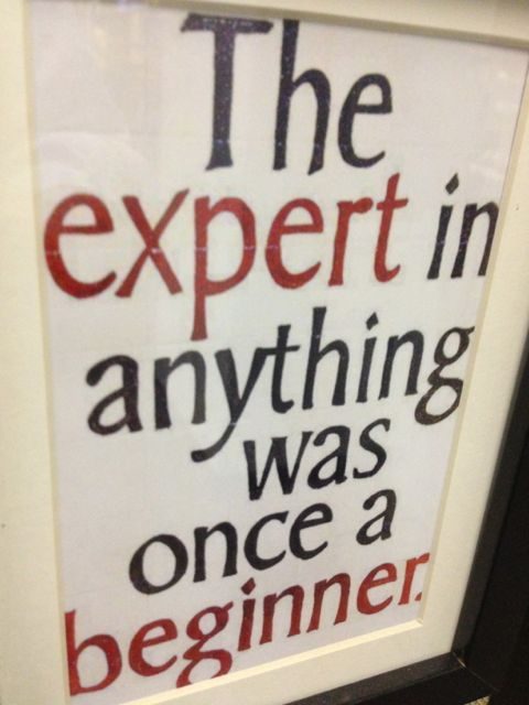 Experts make mistakes