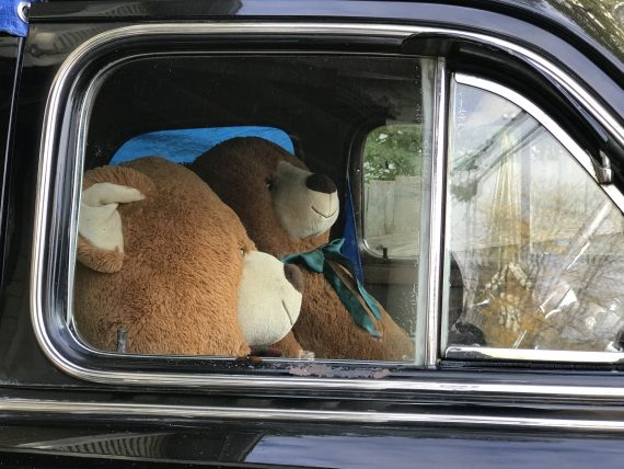 Teddy Bears in a car
