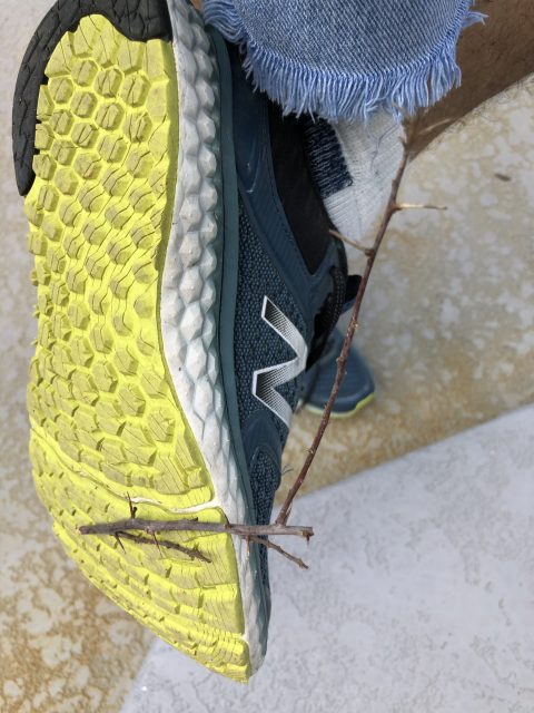 Thorny branch stuck in shoe