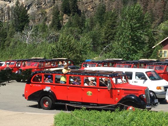 Red Bus tours at Glacier