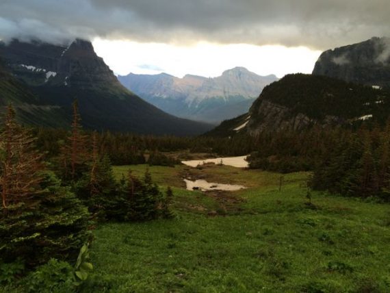 Logan Pass