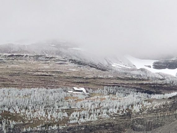 Snow at Logan Pass