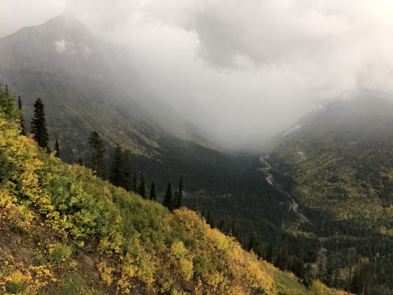 Rainy at Logan Pass