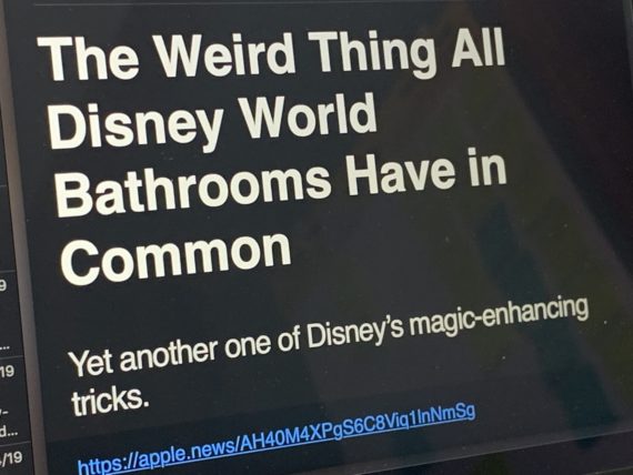 Disney bathroom article