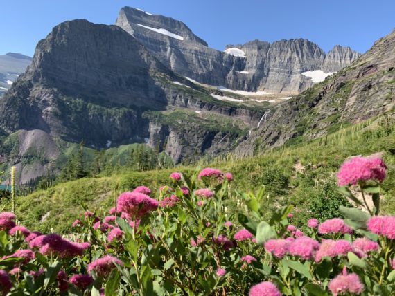 Grinnell Glacier hike 2019