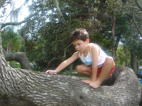 Very young boy climbing a tree