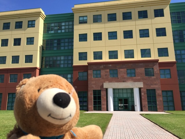 teddy bear at Disney office complex