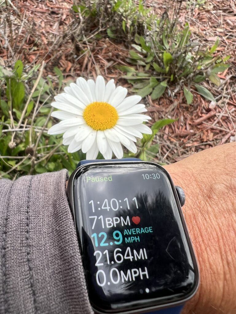 Apple Watch and a daisy 