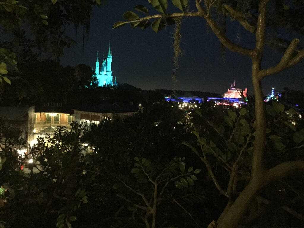 Magic Kingdom at night from Swiss Family Robinson treehouse