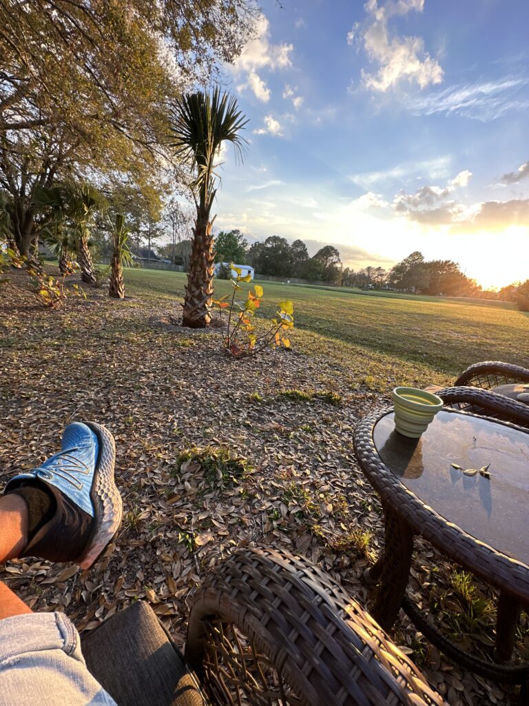 Sunset from a yard