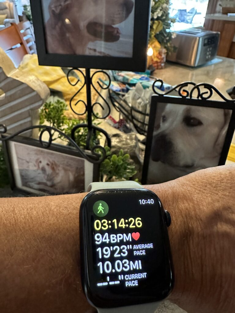 Apple Watch fitness screen