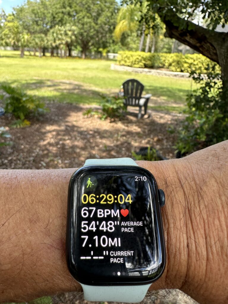 Apple Watch fitness app screen