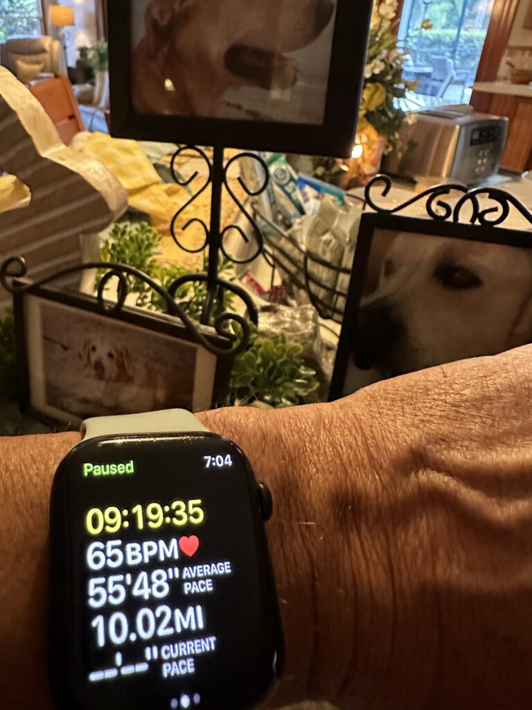 Apple Watch fitness app screen