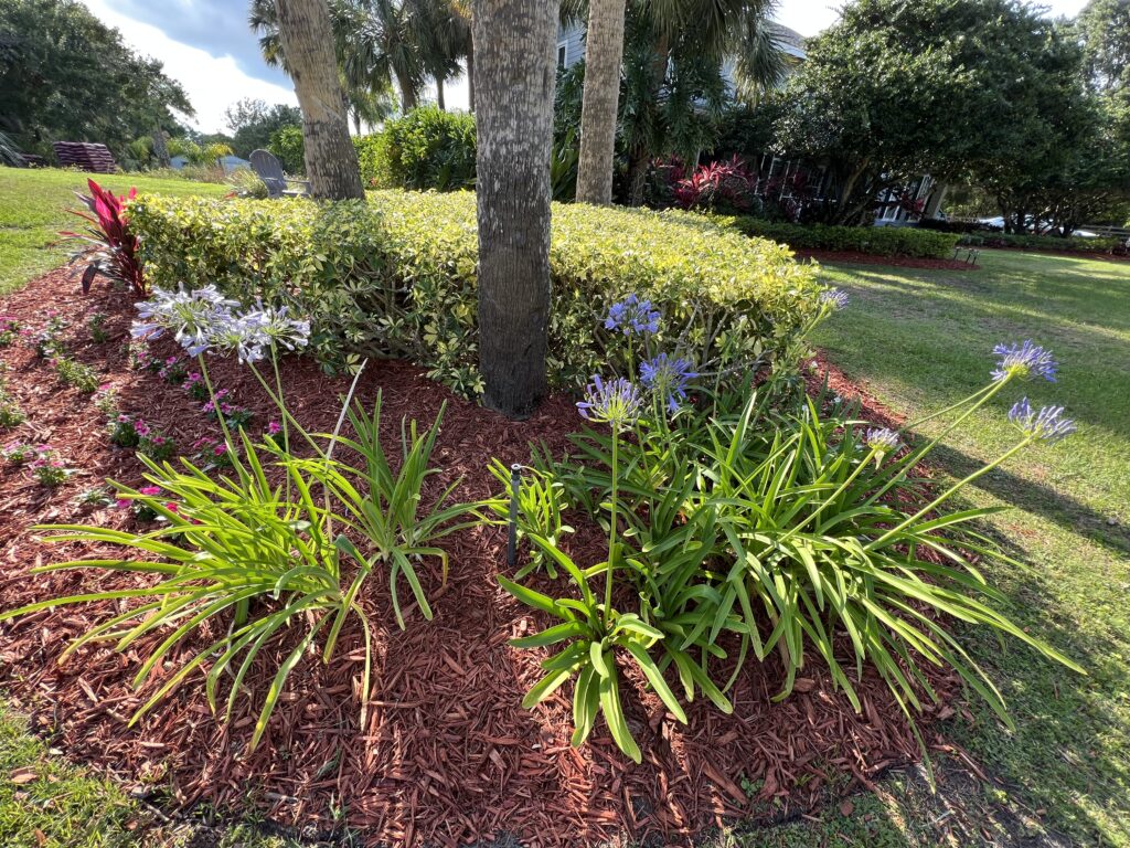 Florida residential landscaping