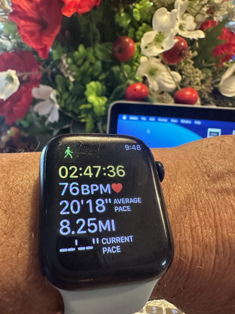 Apple Watch fitness app 