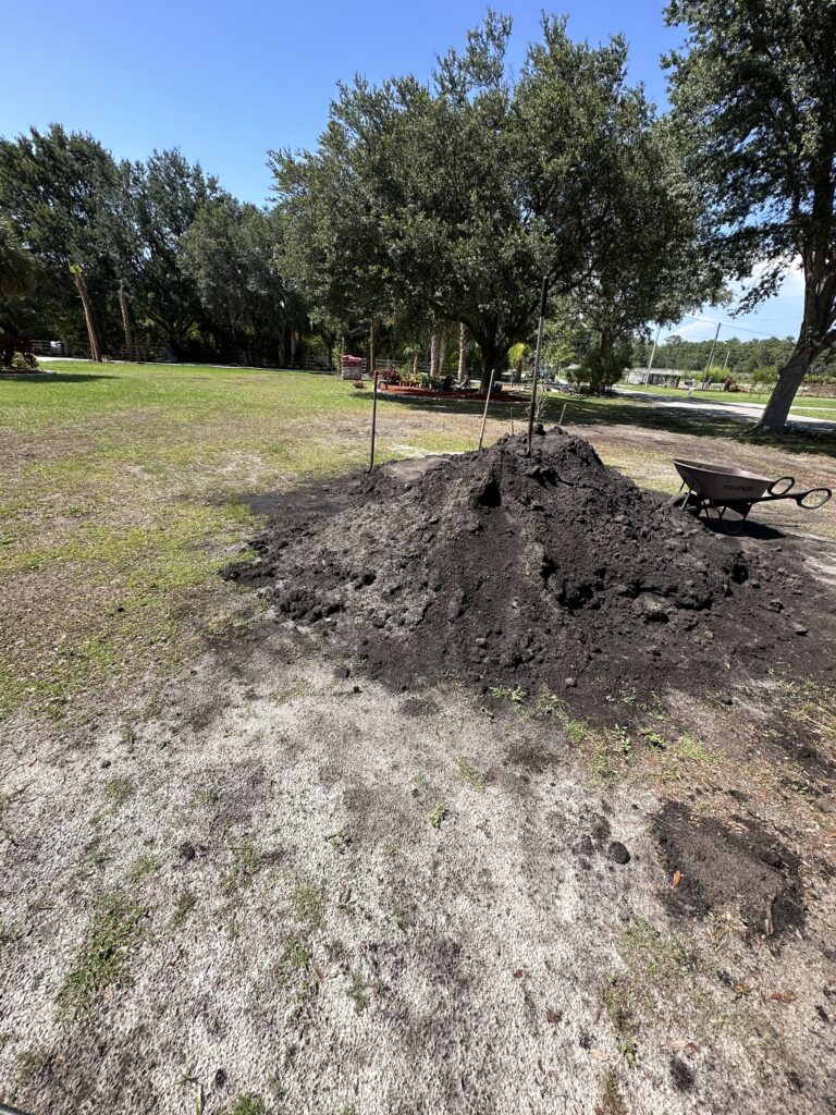 Small dirt pile in a homeowner yard