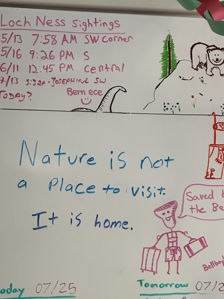 Whiteboard in a national park hotel