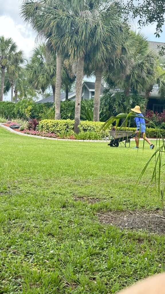 Man pushing wheel barrel in tropical yard
