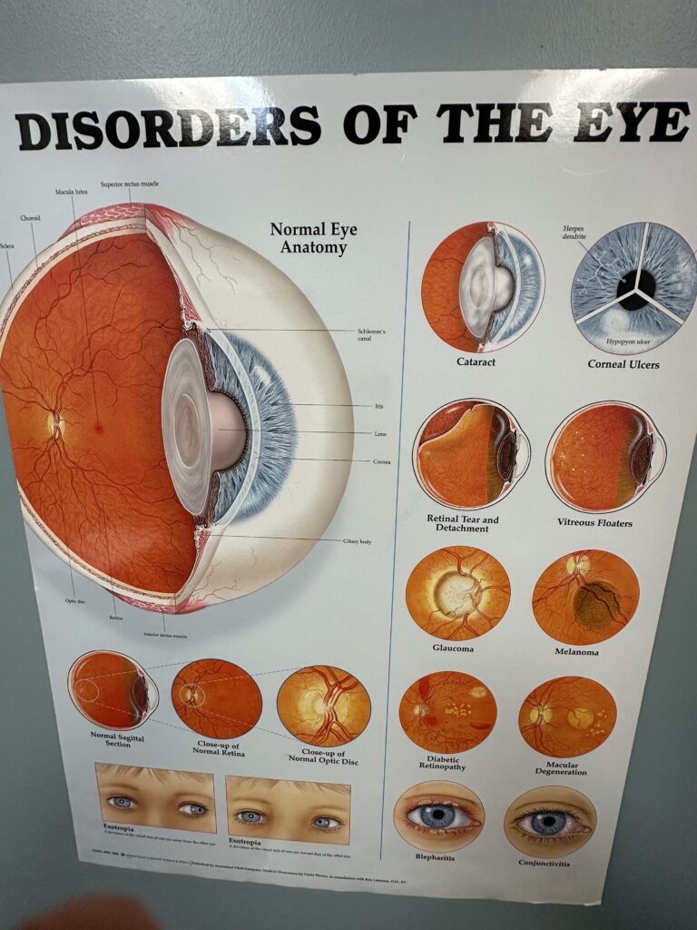 Poster detailing Eye disorders