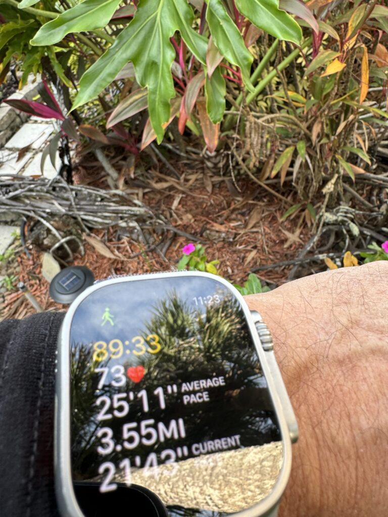 Apple Watch fitness screen