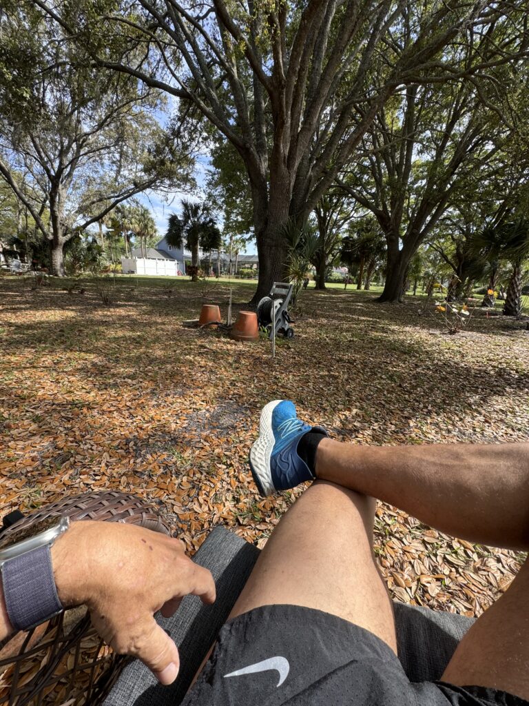 Person signature chair under some trees