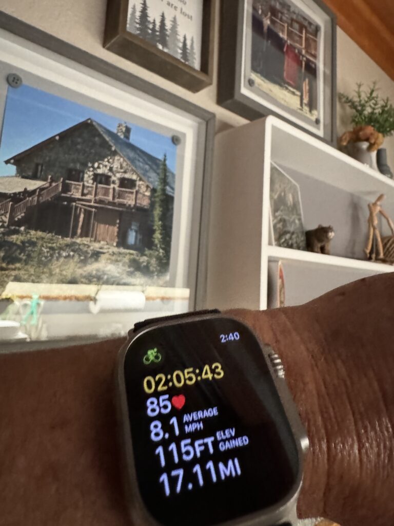 Apple Watch fitness screen