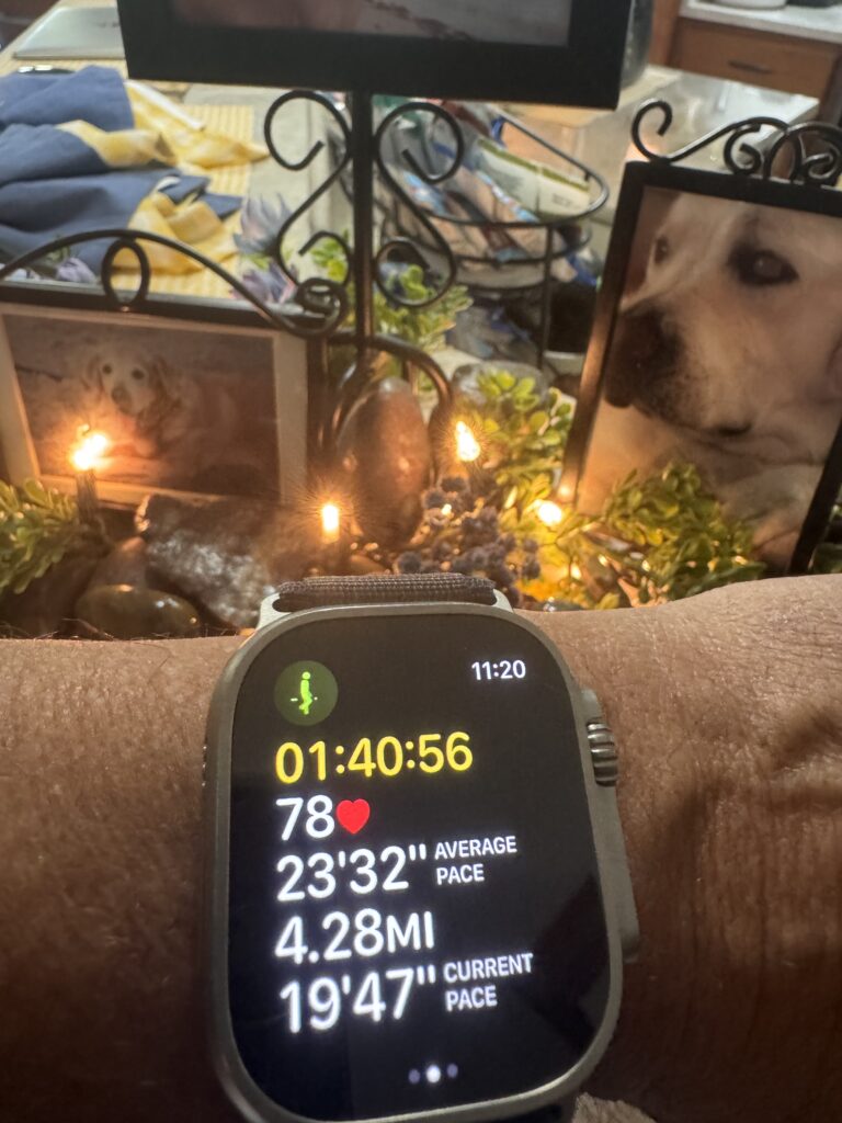 Apple Watch fitness screen