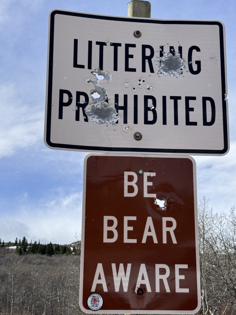 highway signs with bullet holes