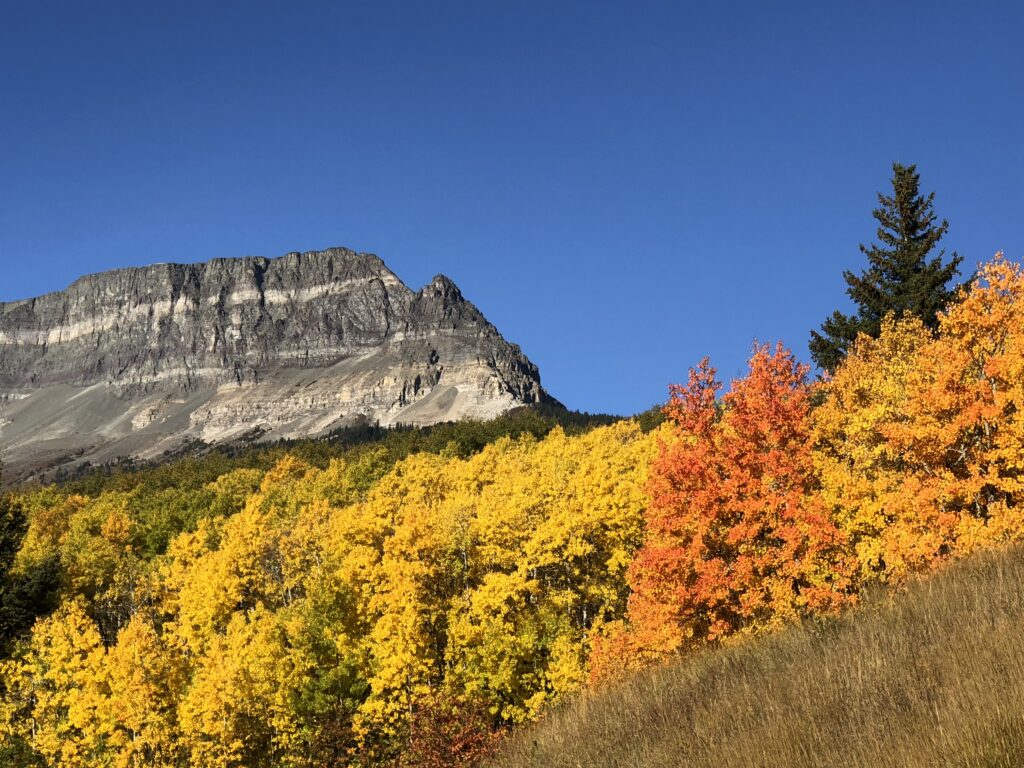 mountain fall foliage