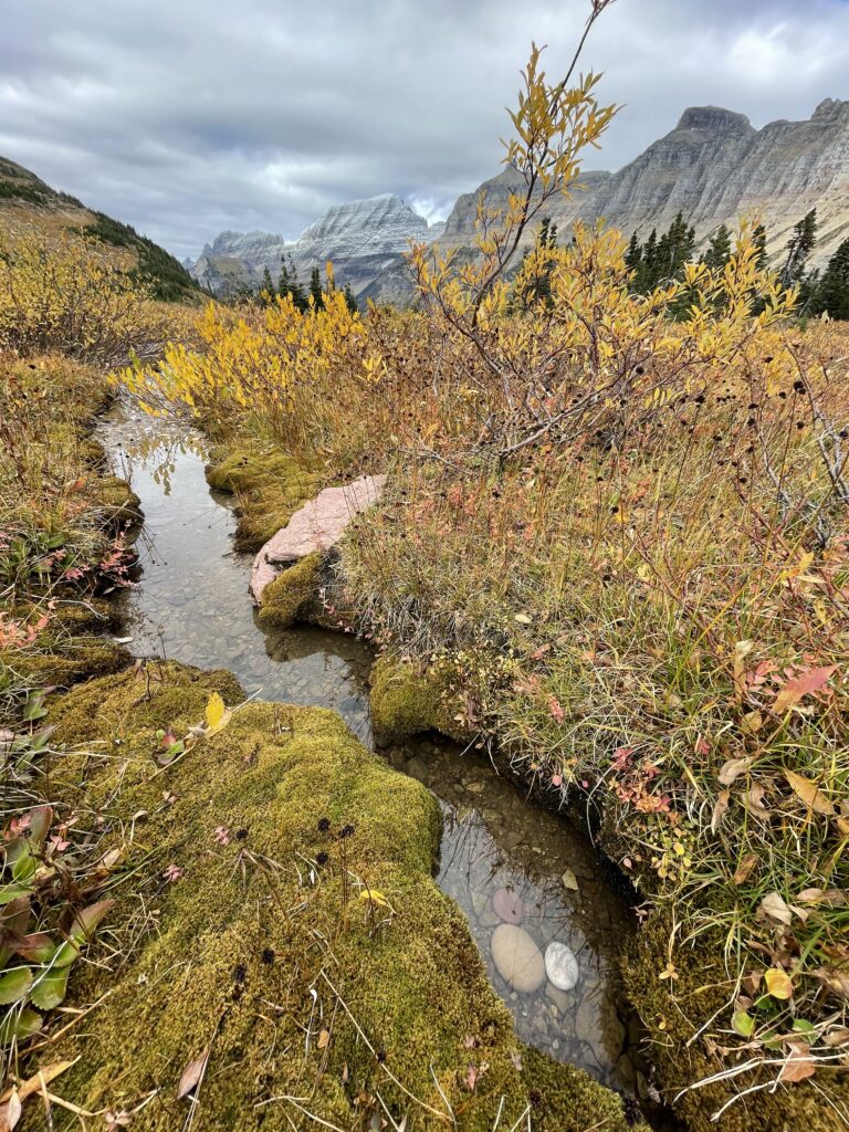 Mountains